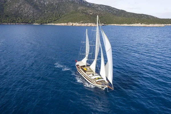 Estrella de Mar