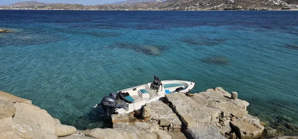 Milos V