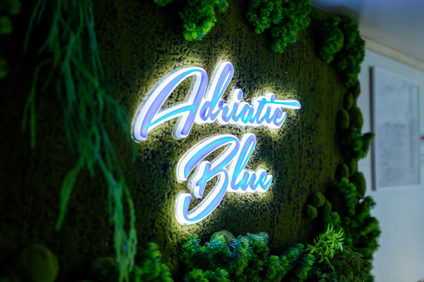 Adriatic Blue - Motor Yat içinde Dubrovnik