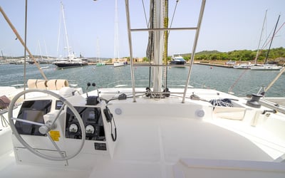 Avocado - Premium Line