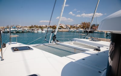 Gelso - Standard line