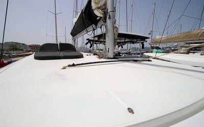 Sesamo - Premium line