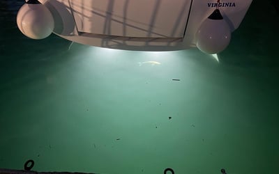 Virginia (A/C, Gen. 10kVA, Watermaker 160L/h, Electric Winch)