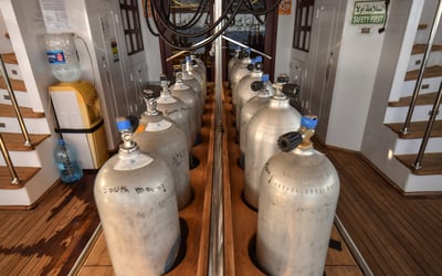 Bunk bed cabin lower deck 1