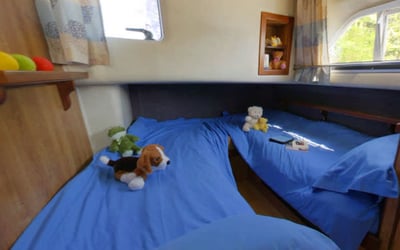 Royal Classique - Comfort 14