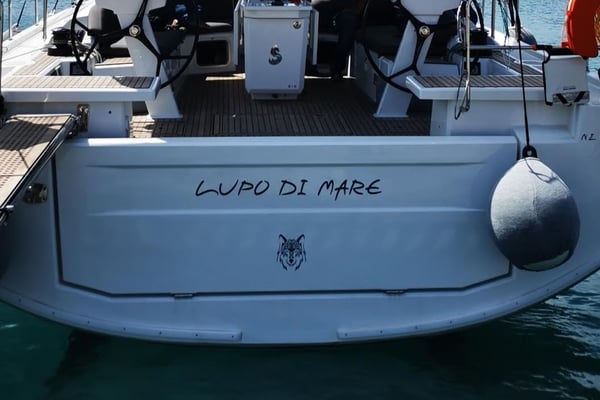 Lupo Di Mare