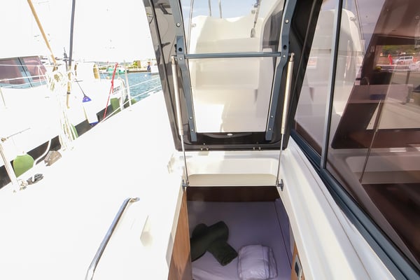 Avocado - Premium Line