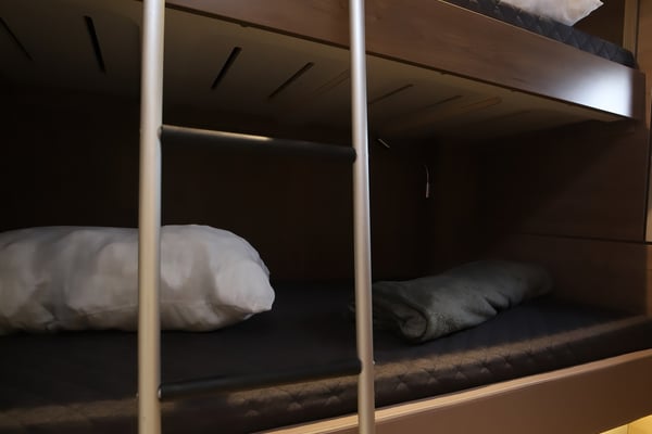 Avocado - Premium Line