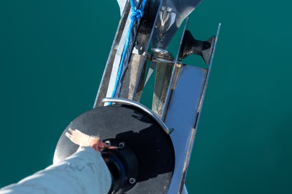 Vittoria - Standard line