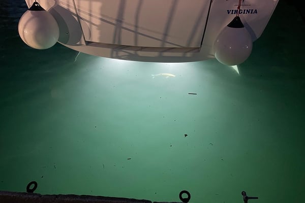 Virginia (A/C, Gen. 10kVA, Watermaker 160L/h, Electric Winch)