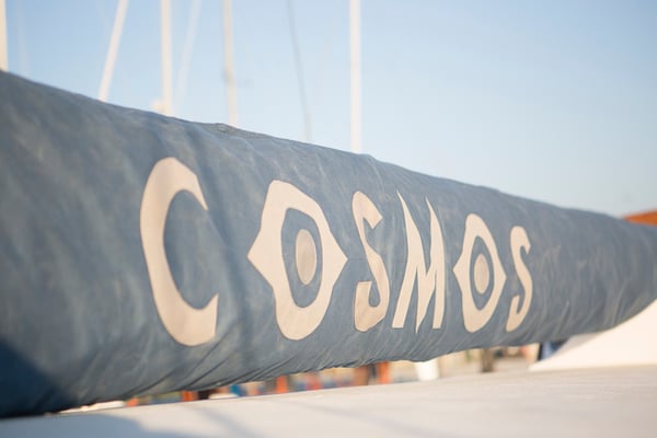 Cosmos