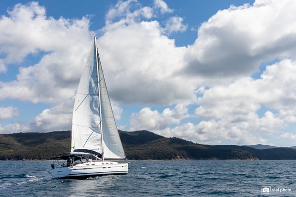 Aladar - Solar Panel