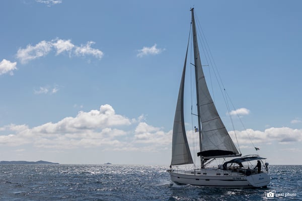 Aladar - Solar Panel