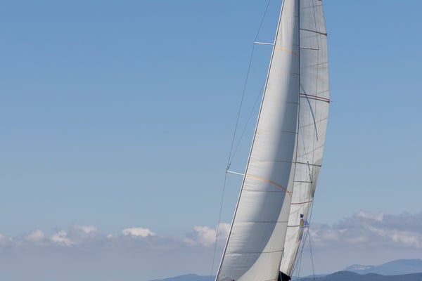 Aladar - Solar Panel