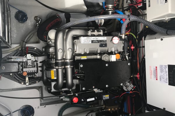 Dugongo II - PREMIUM LINE