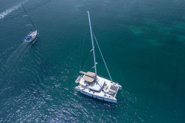 Big Daddy - PREMIUM LINE