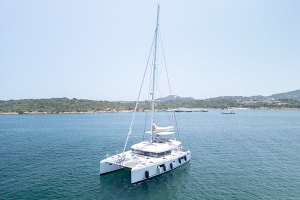 Big Daddy - PREMIUM LINE