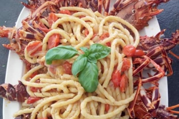 Colibrì Platinum Service