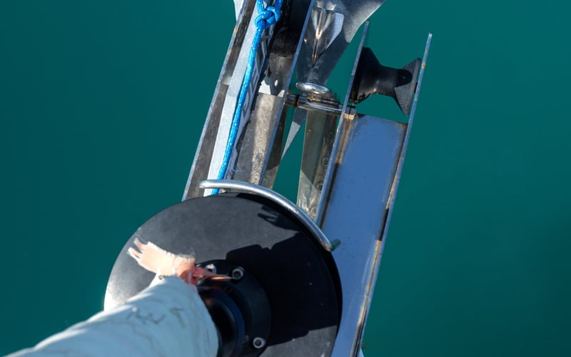 Vittoria - Standard line