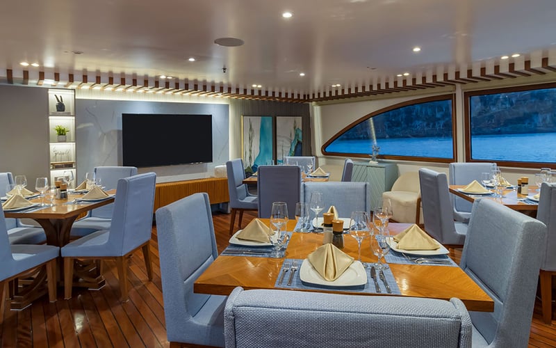 Ocean Spray - Cabin 8