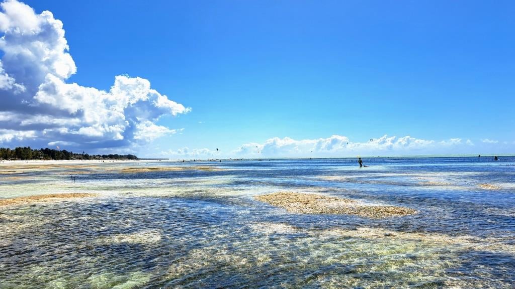 Premium - Catamaran in Zanzibar