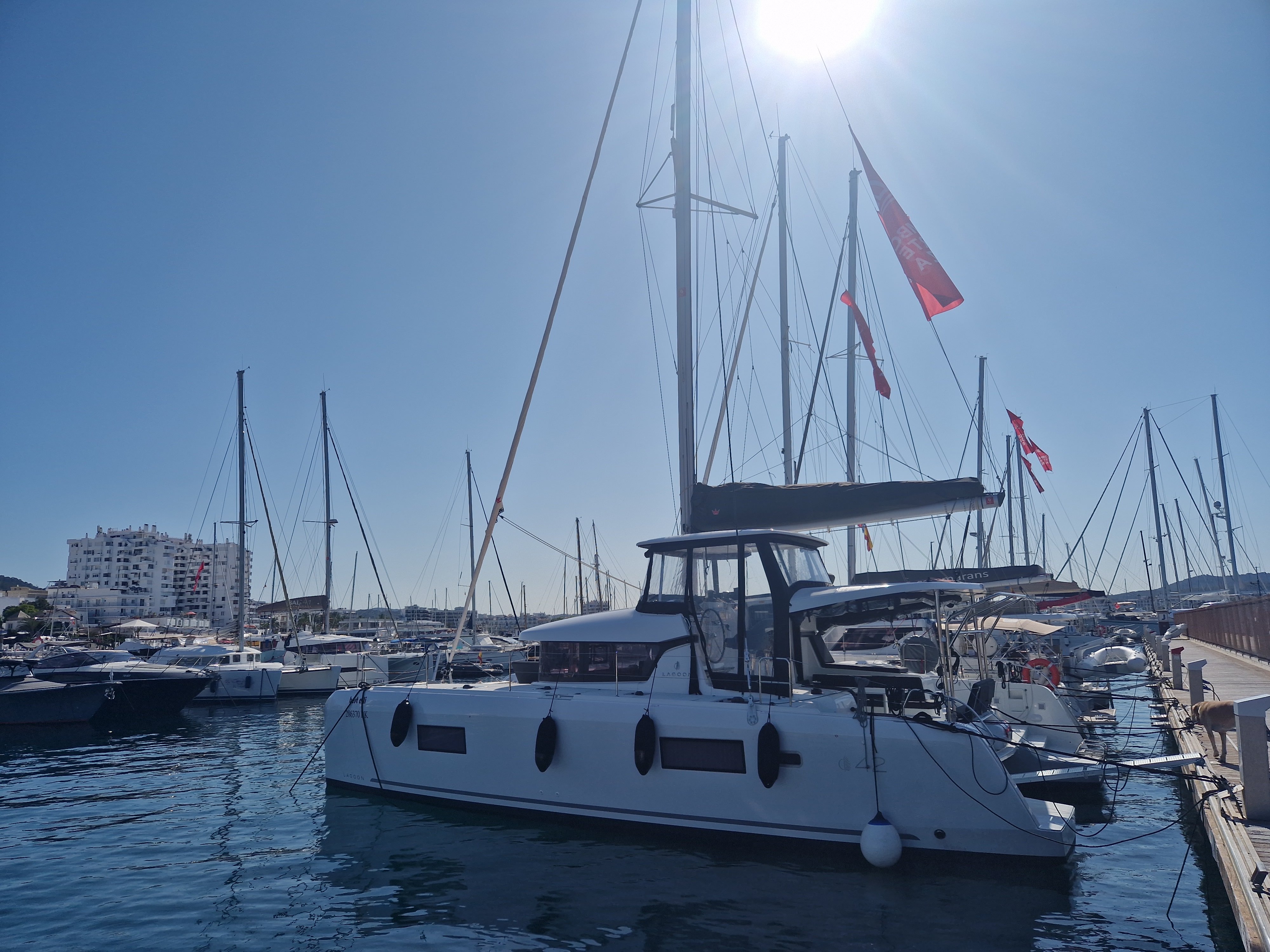 BEST ELLI - Catamaran in Sant Antoni de Portmany