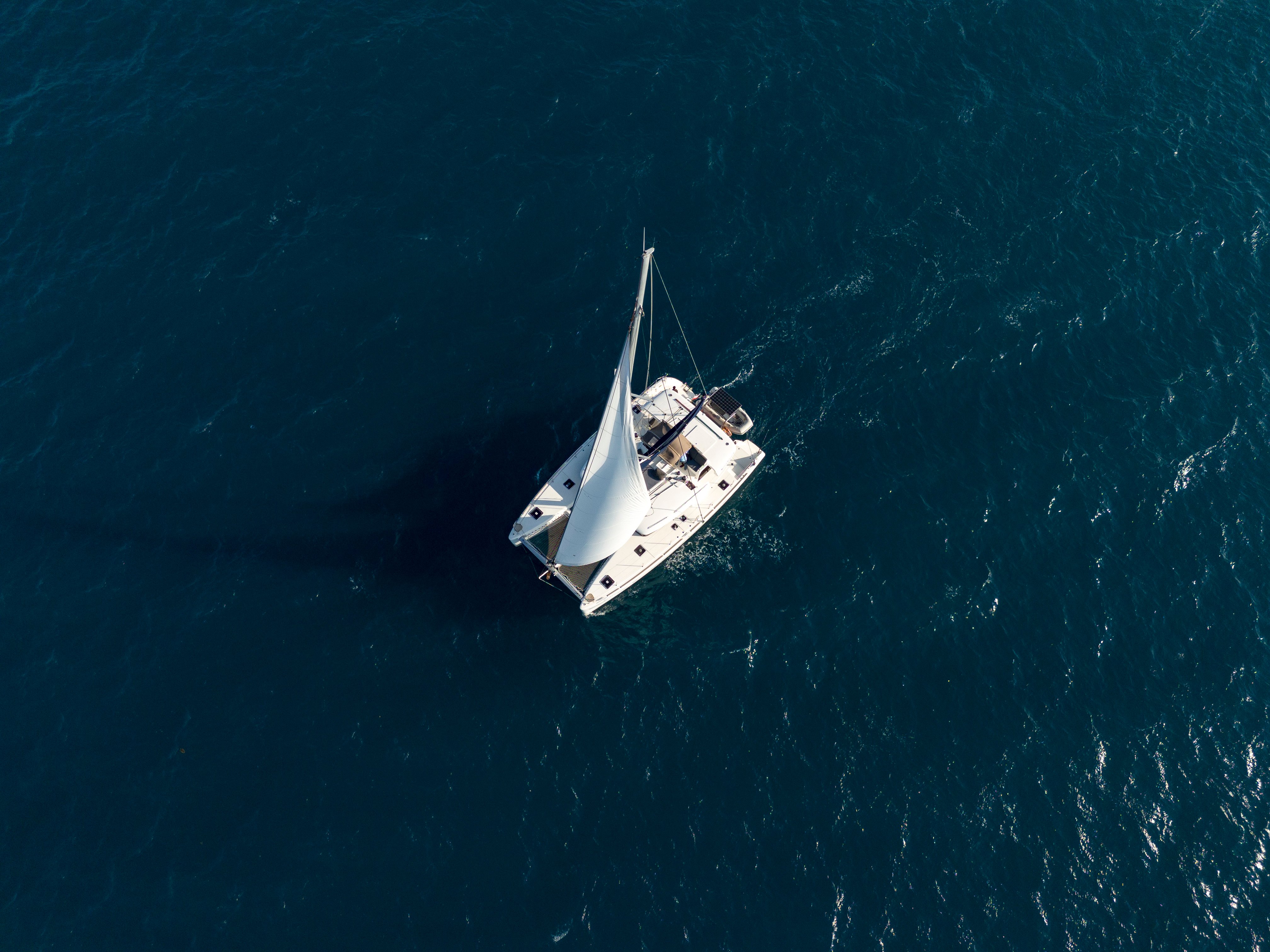 Butterfly - Catamaran in Zanzibar