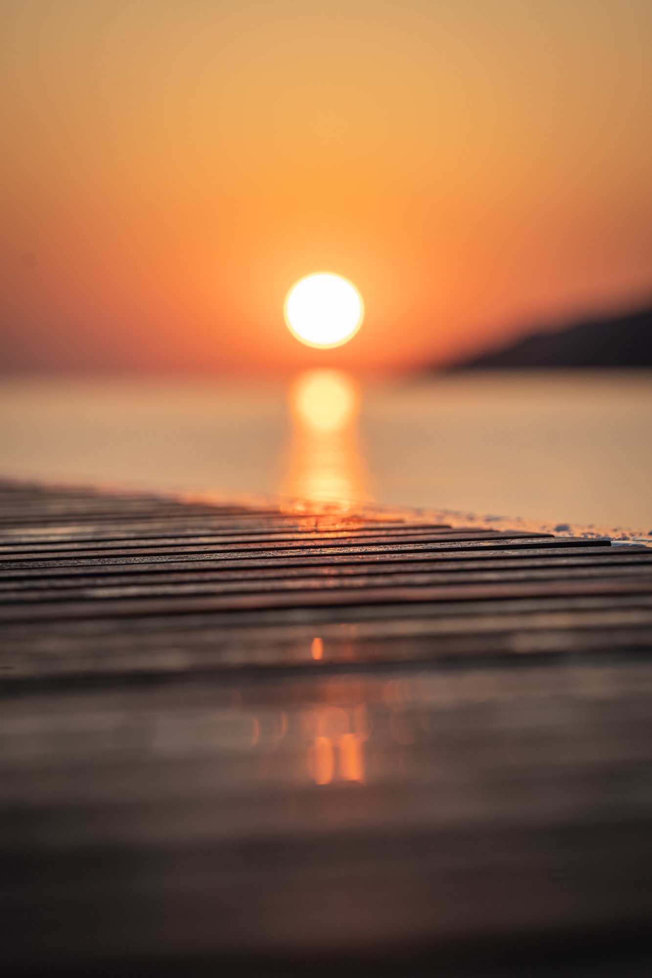 LA DESIRADE - Catamaran in Bonifacio