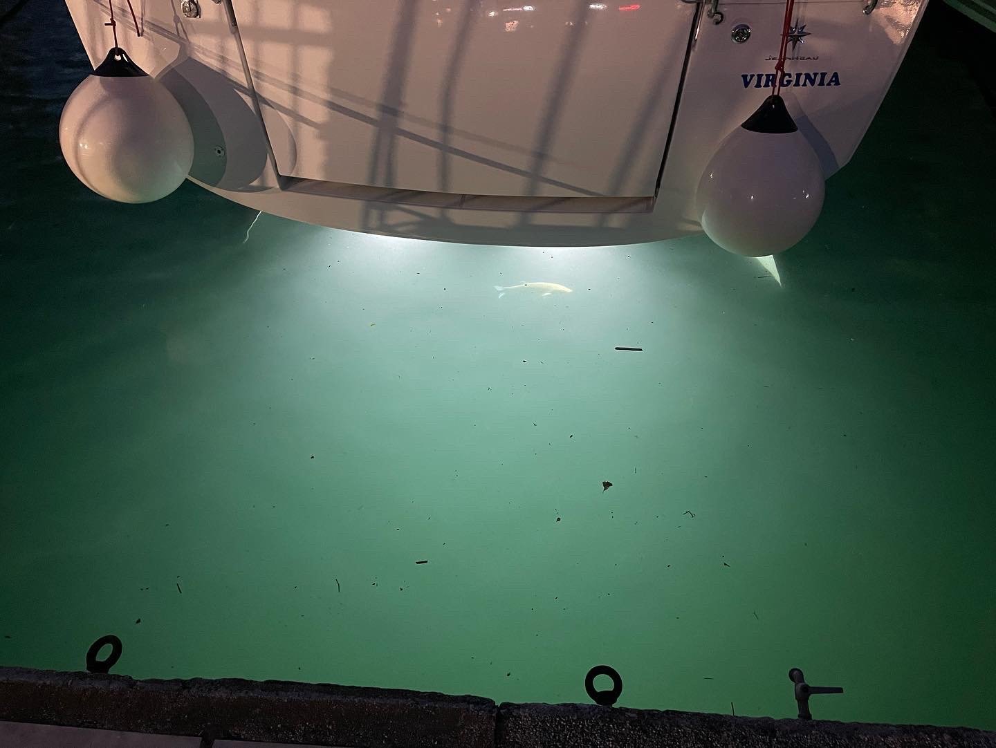 Virginia (A/C, Gen. 10kVA, Watermaker 160L/h, Electric Winch) - Sailboat in Volos