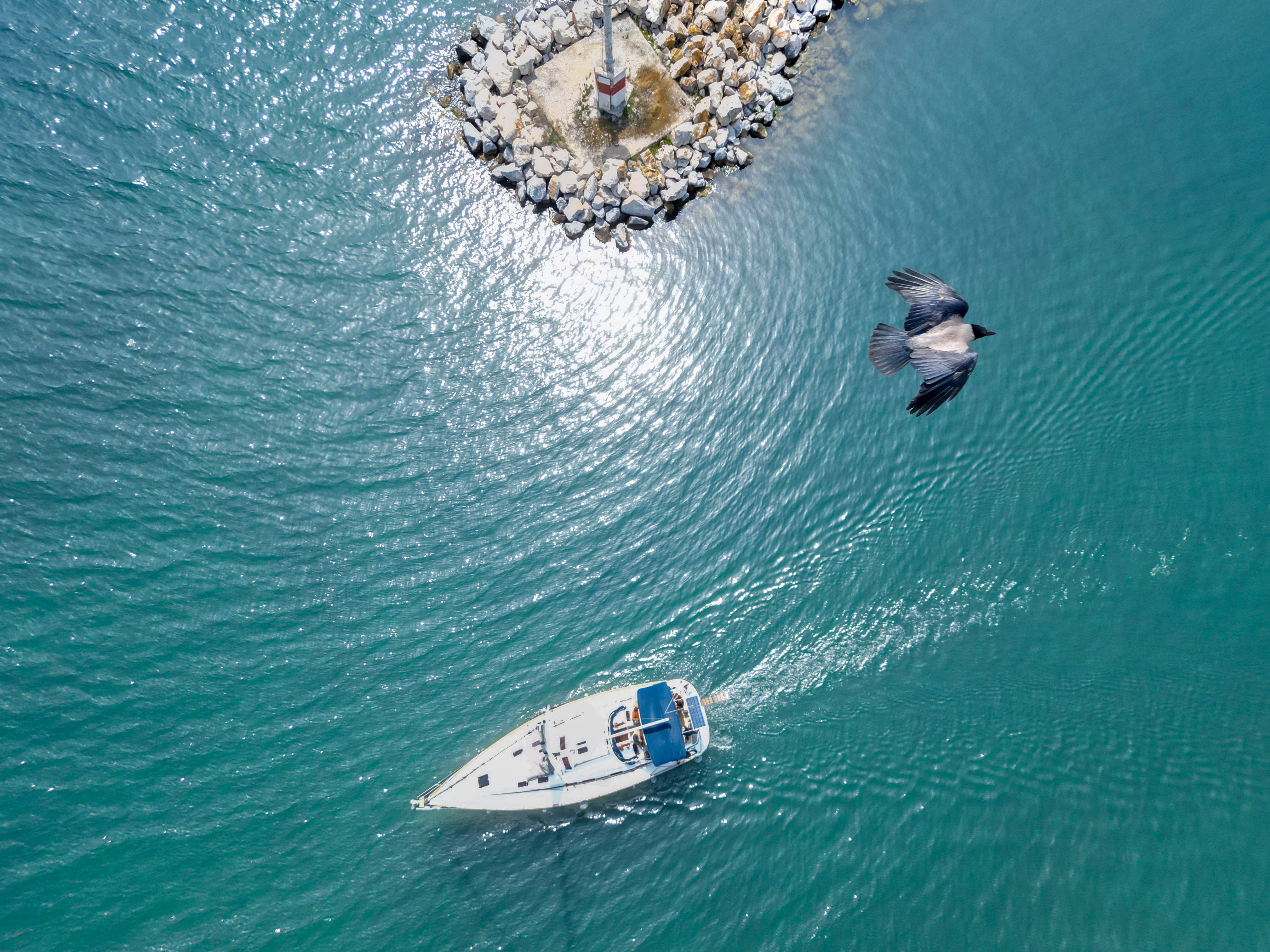 Fox - Sailboat in Chalkidiki