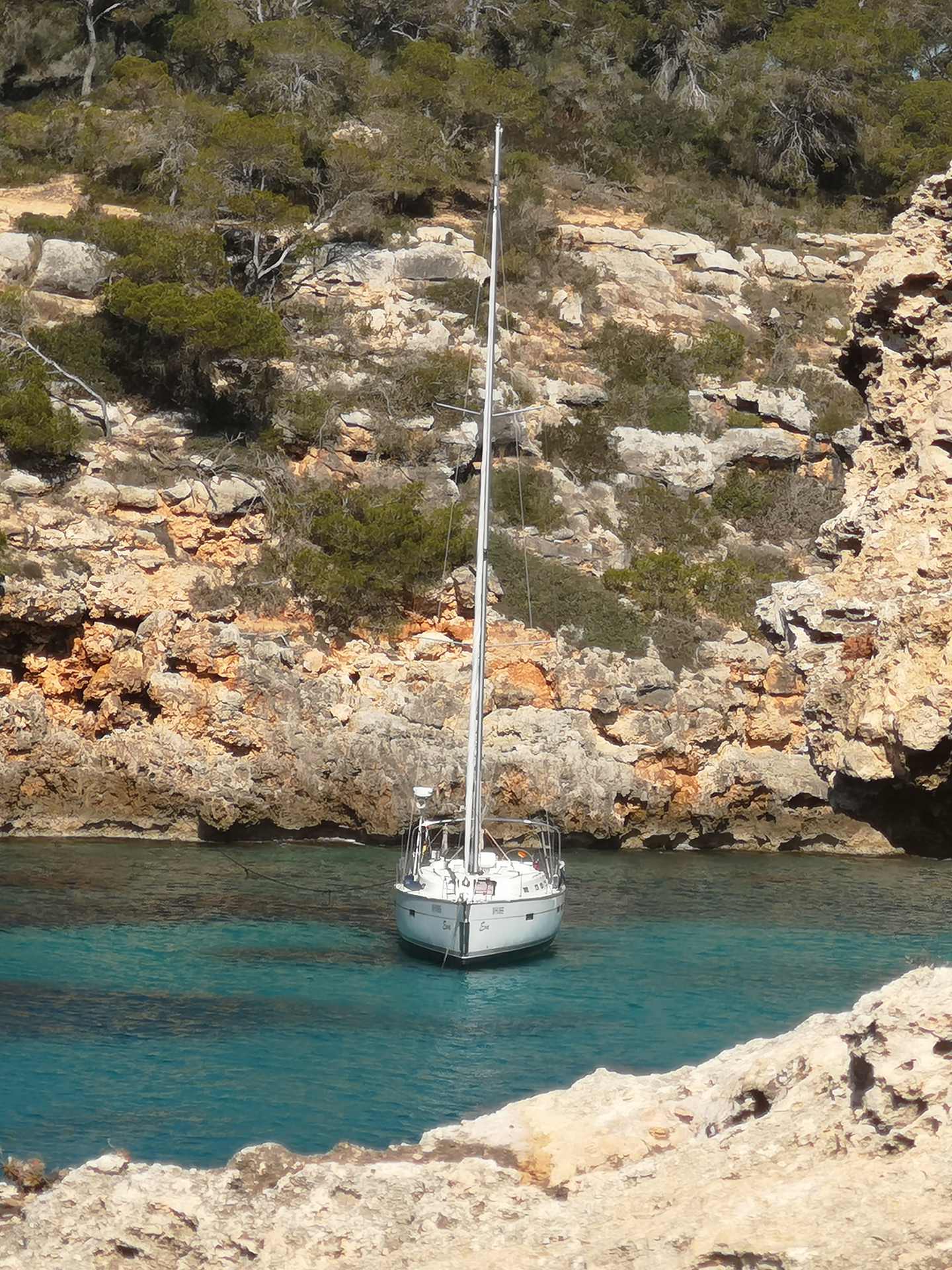 Eva - Yelkenli içinde Palma