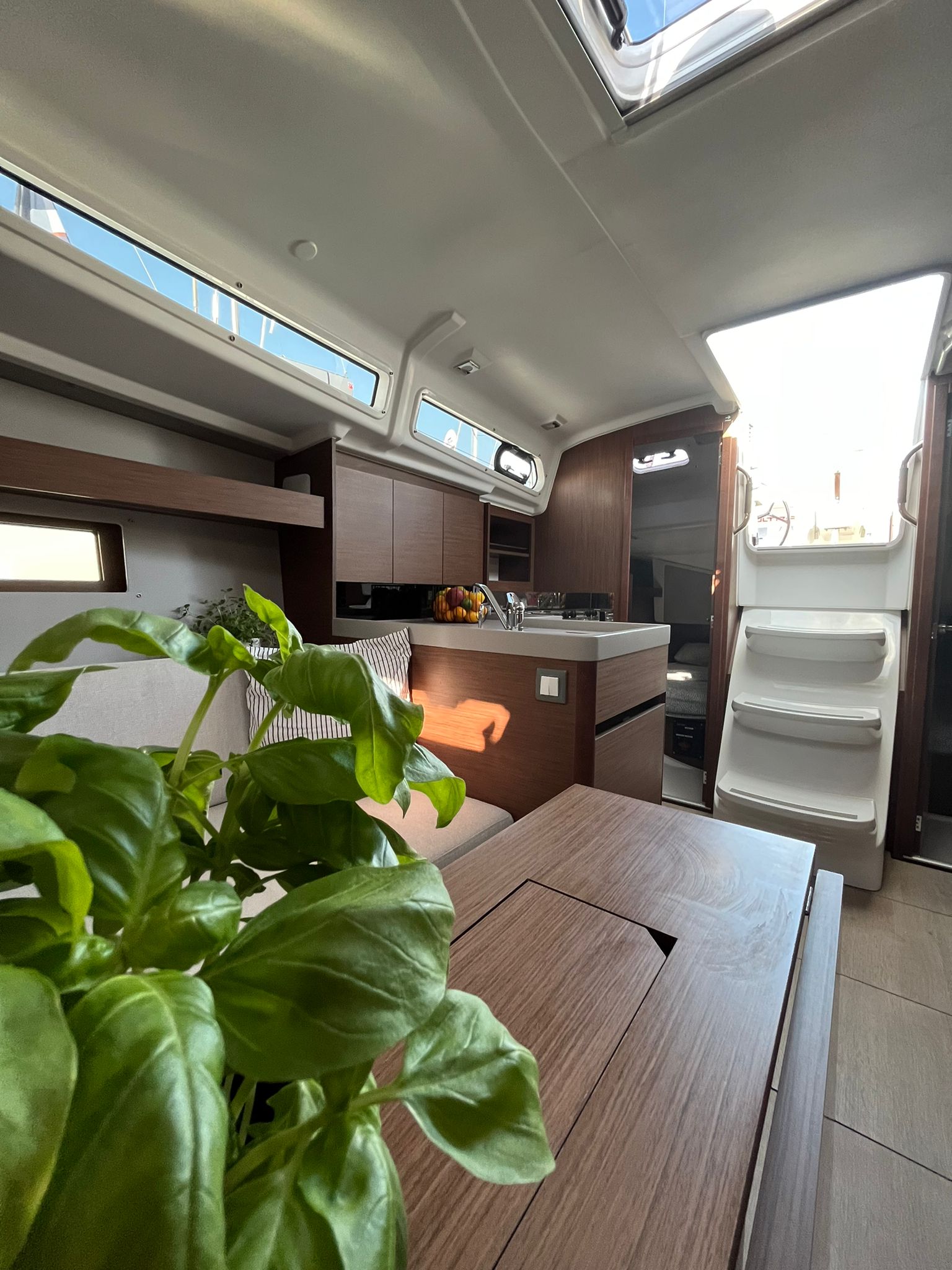 ROOKIE - Sailboat in Split