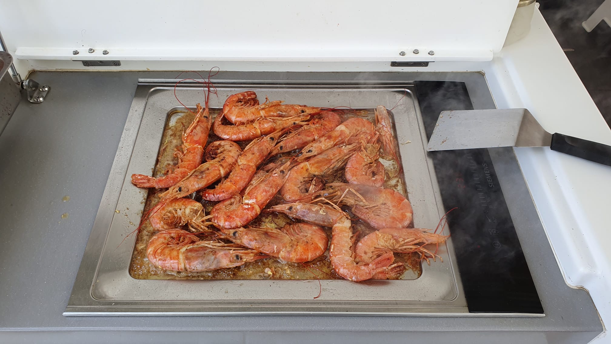 MY WAY - Catamaran in Ajaccio