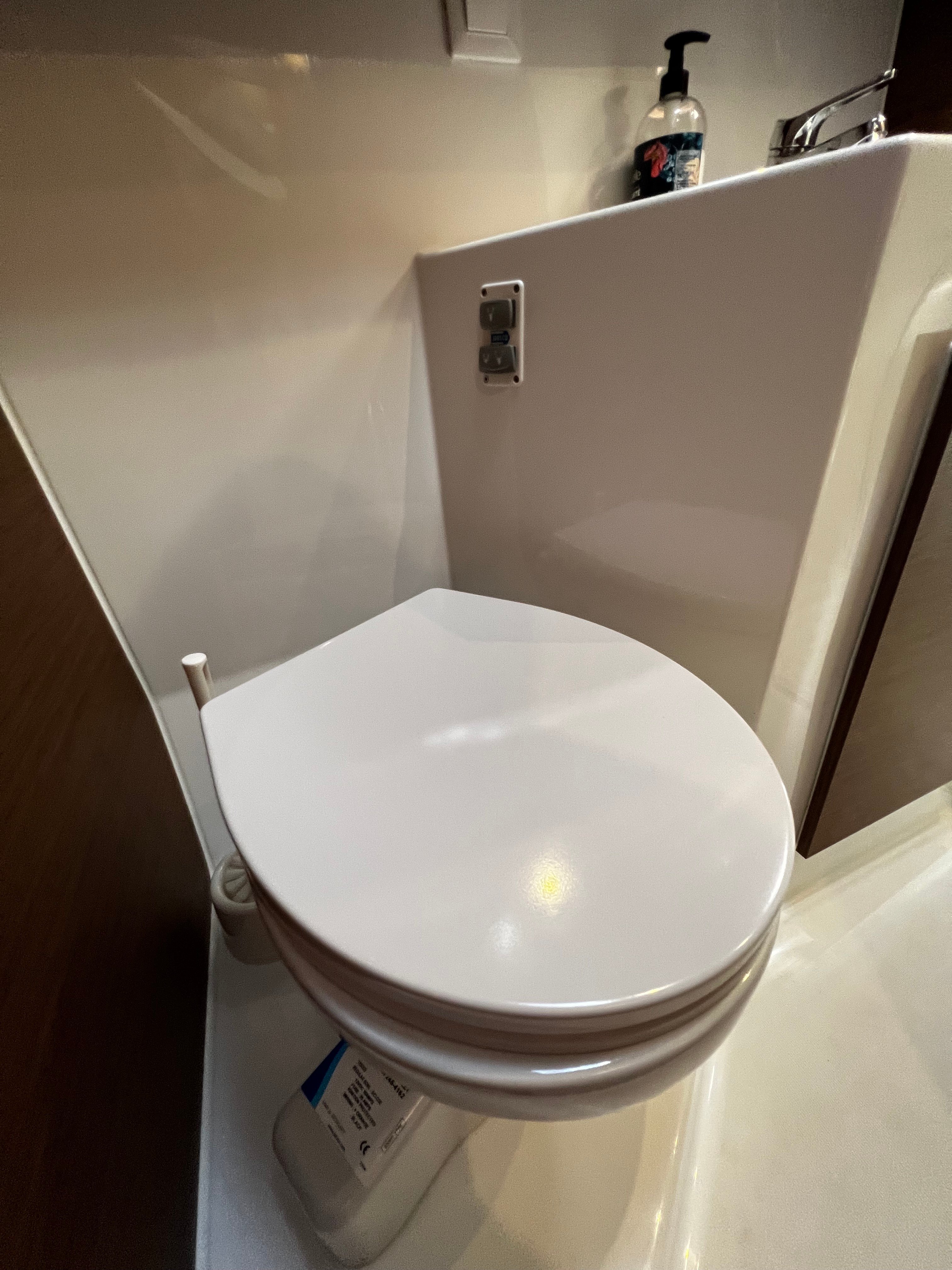 Odessa - Catamaran in Eivissa