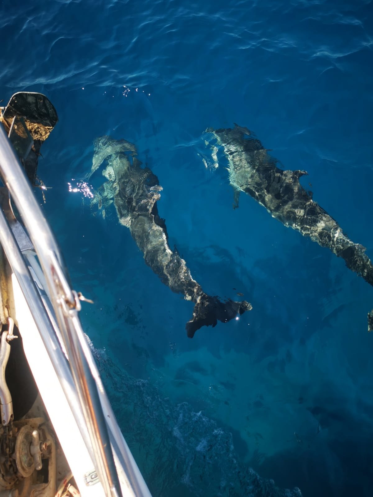 9 Muses - Sailboat in Nikiti