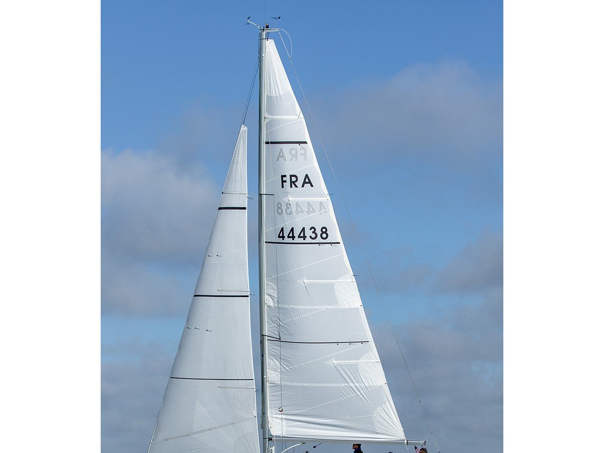 Gogox - Sailboat in La Trinité-sur-Mer
