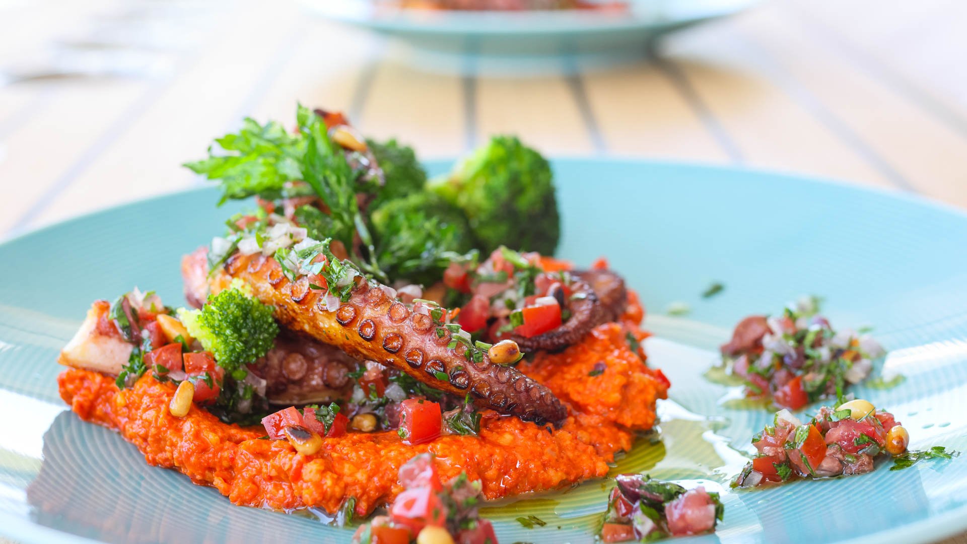 Honeybird - Catamaran in Šibenik