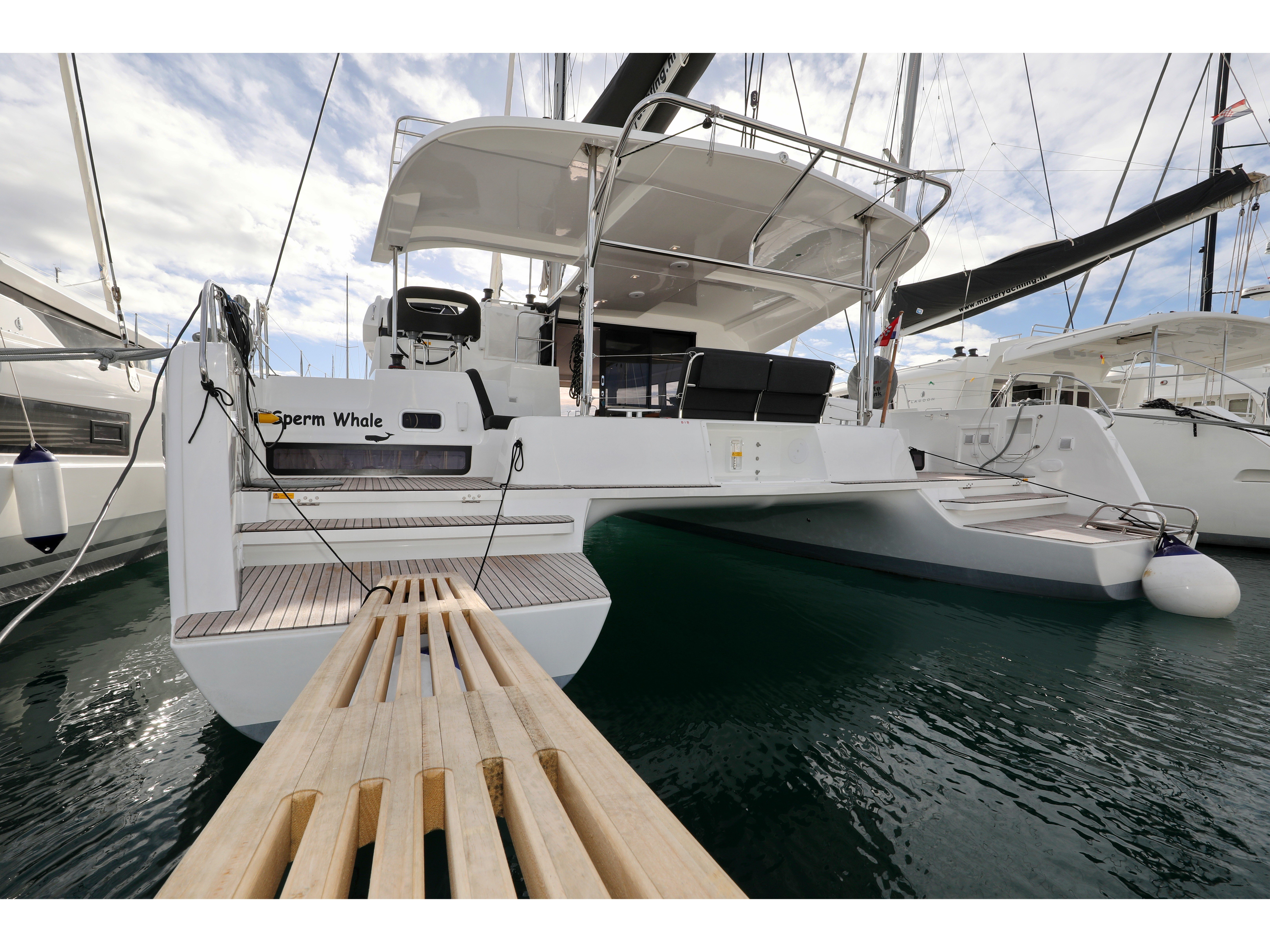 SPERM WHALE - Catamaran in Bibinje