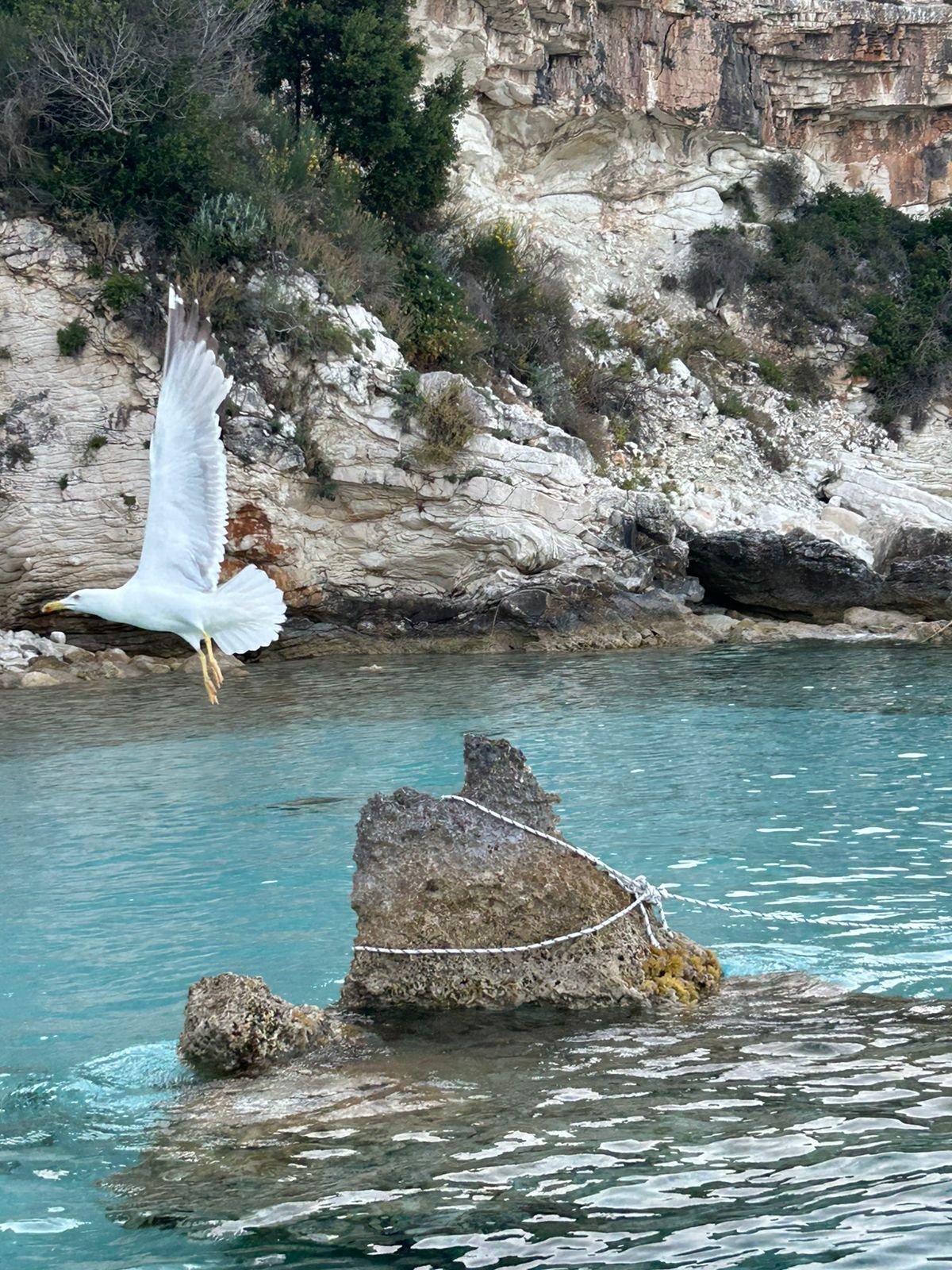 Nausicaa - Catamaran in Lefkada