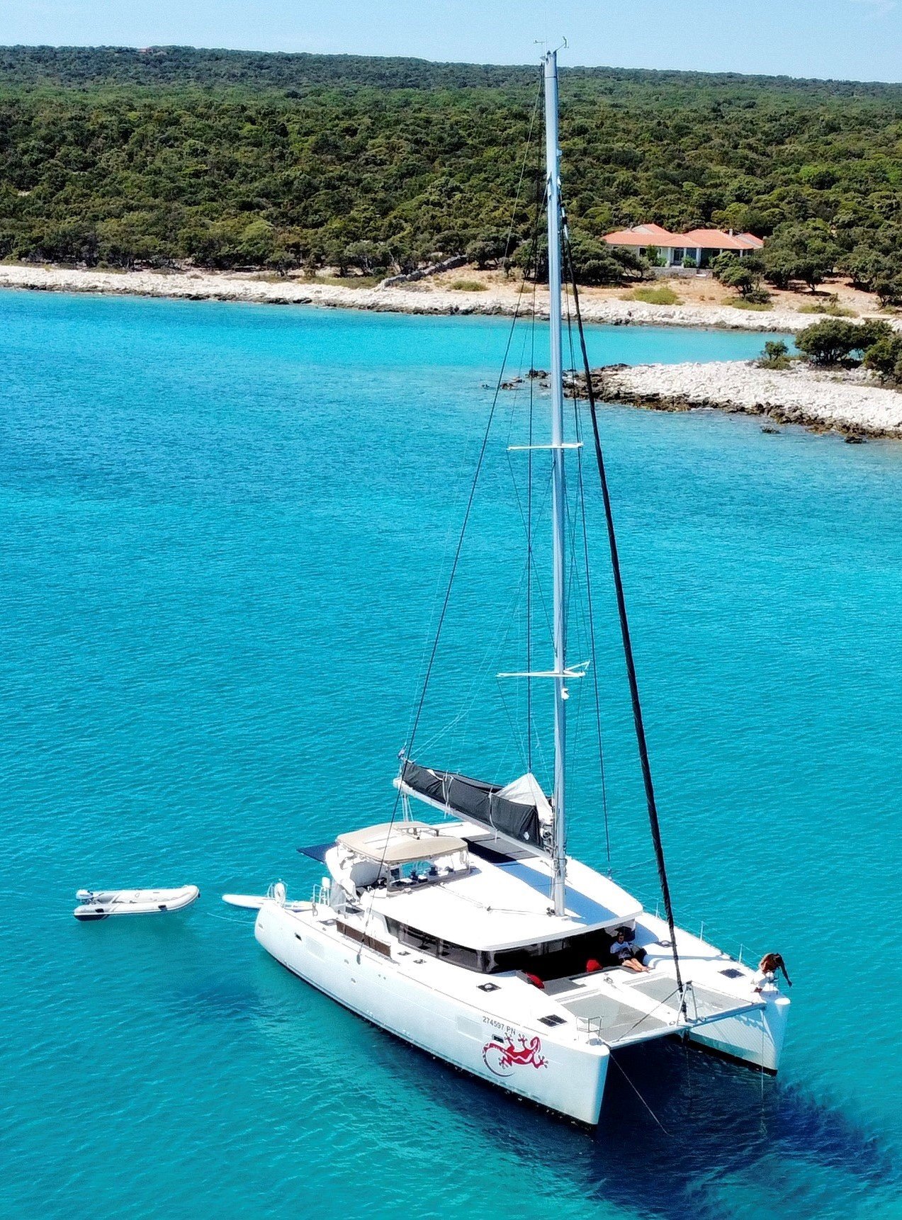 Gecko - Catamaran in Punat