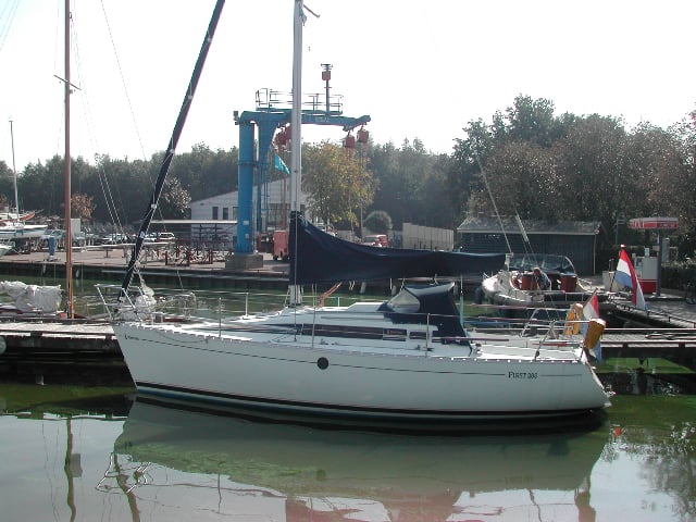 Seagull - Sailboat in Yerseke
