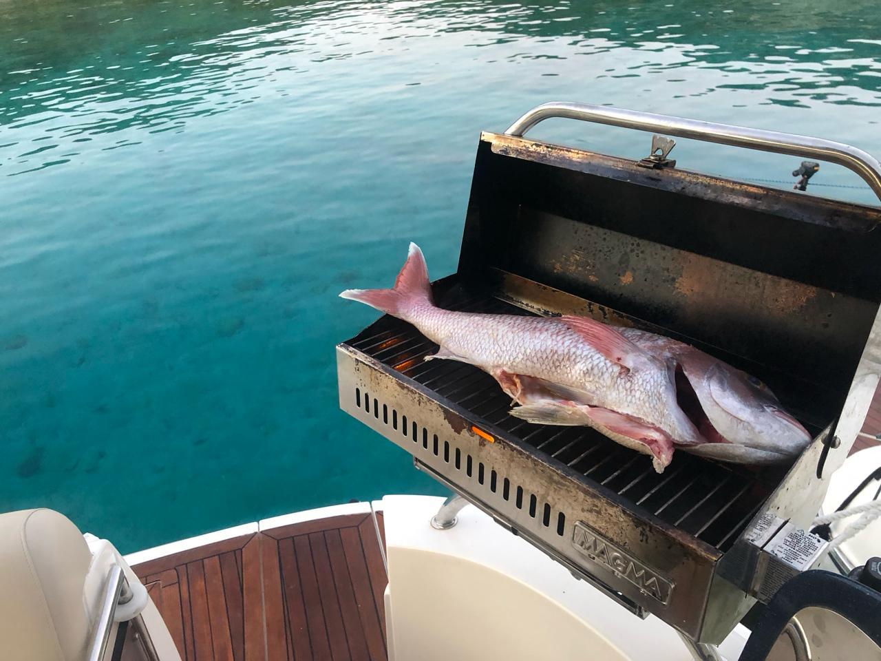 ELAINE - Motor Yacht in Alimos