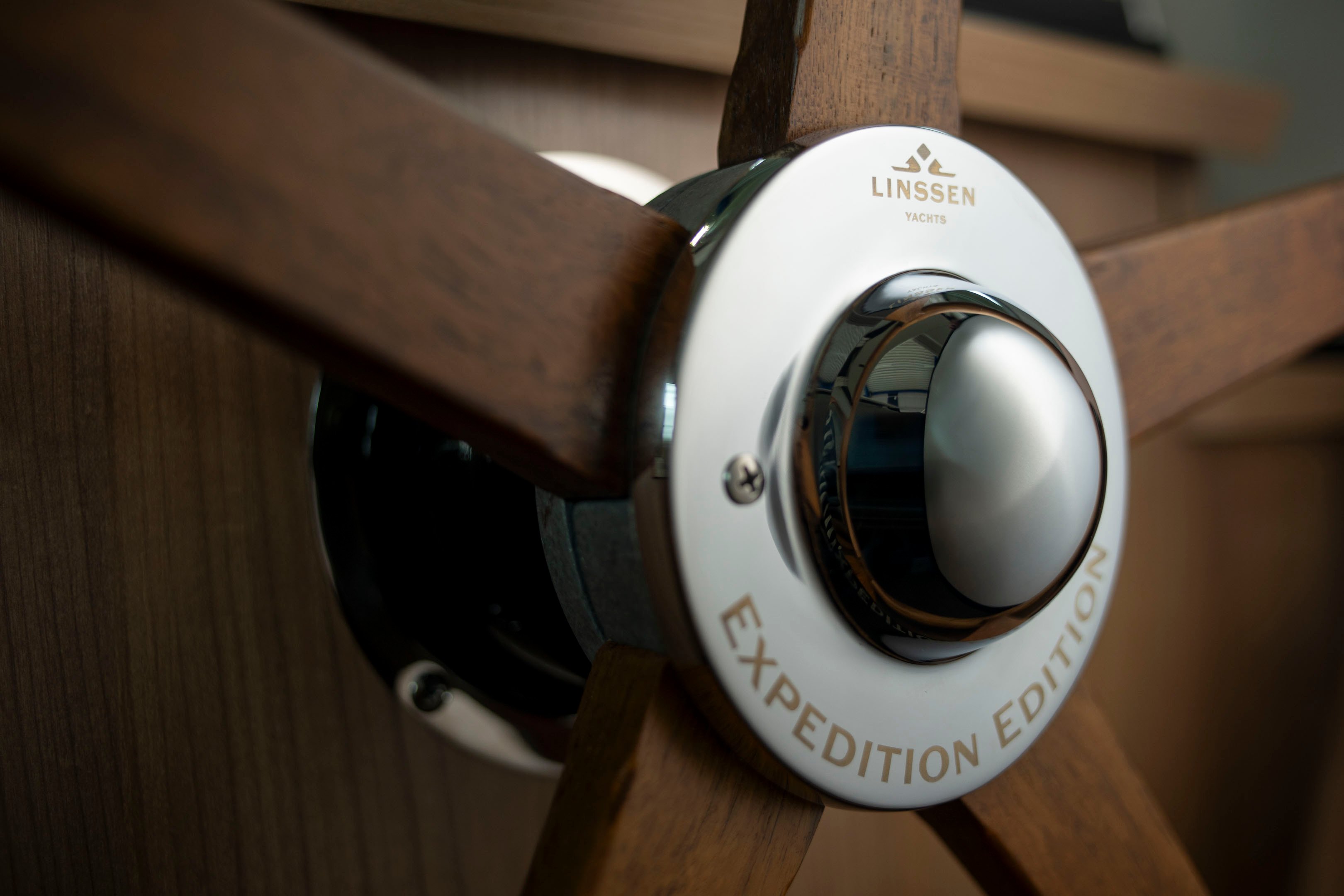 Vaiana - Motor Yacht in Werder (Havel)