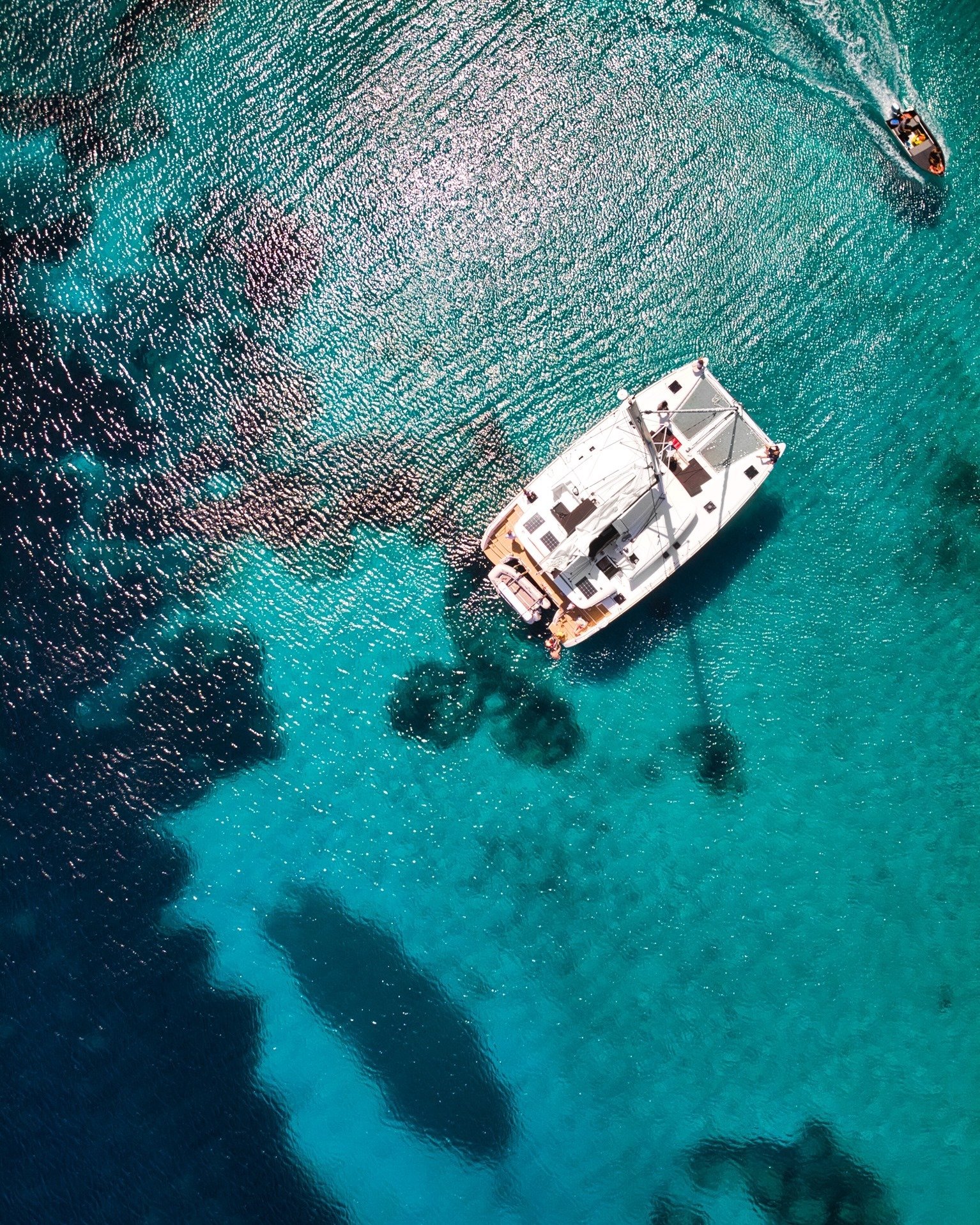 Pollo - Catamaran in Province of Sassari