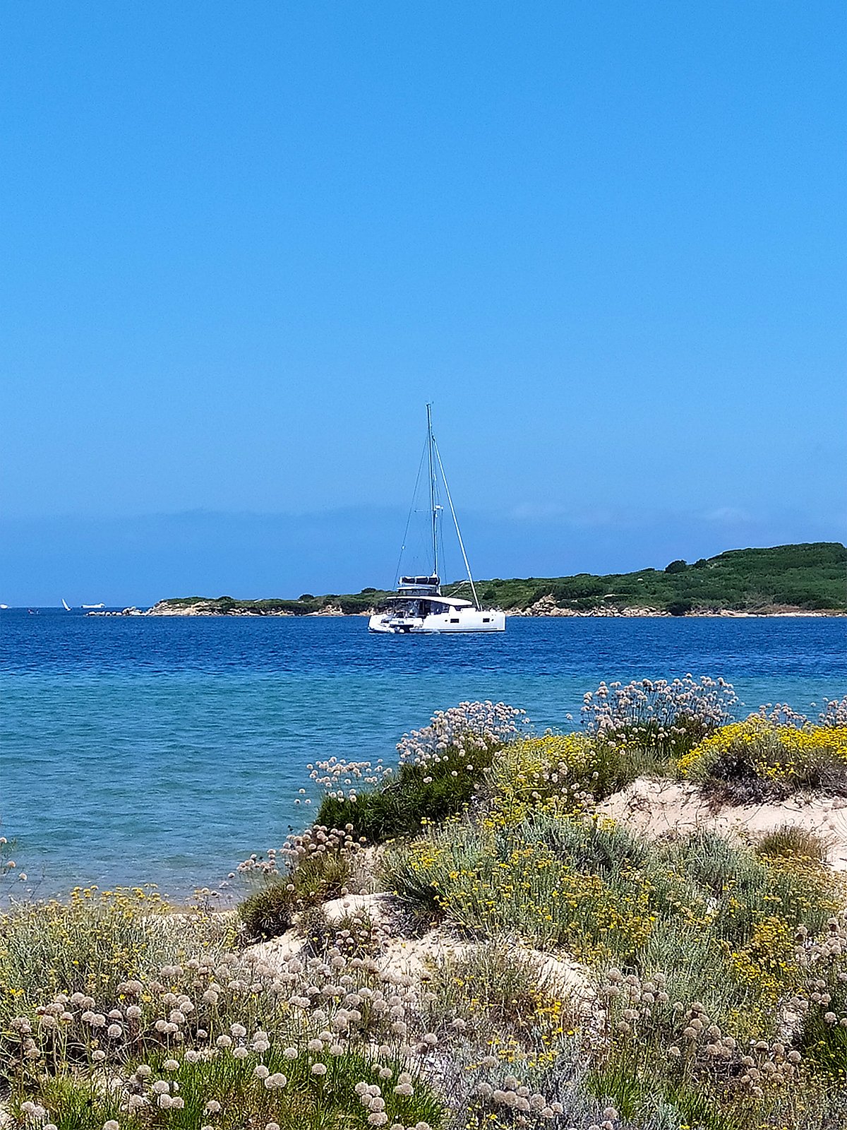 Pollo - Catamaran in Province of Sassari