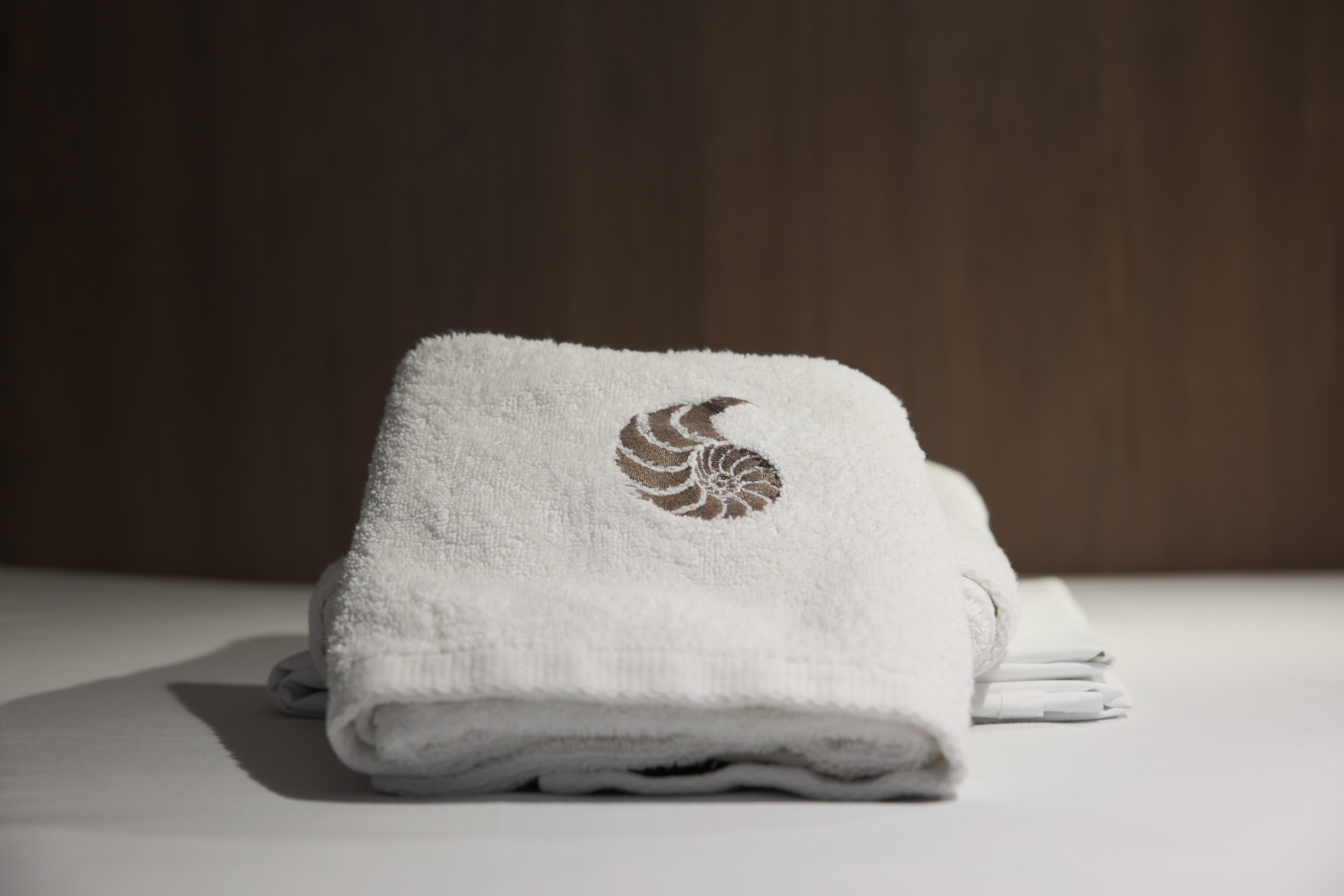 ALINA II - Catamaran in Preveza