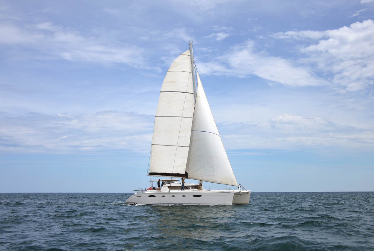 Whale - Catamaran in Città metropolitana di Palermo