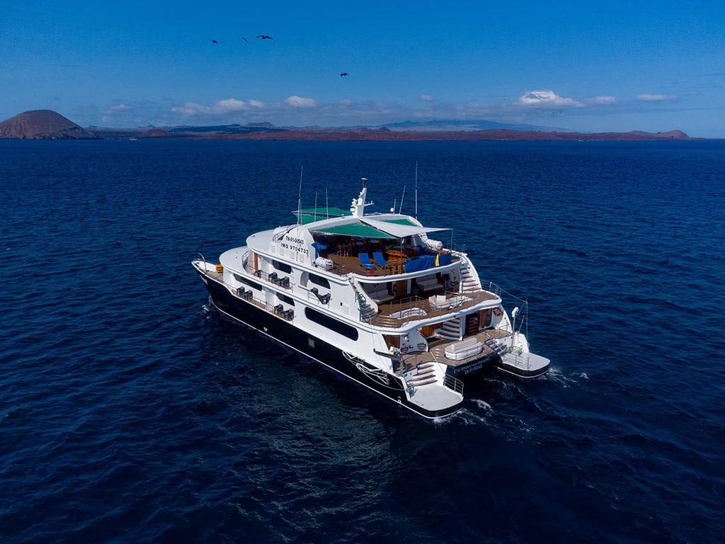 Petrel - Catamaran in Santa Cruz