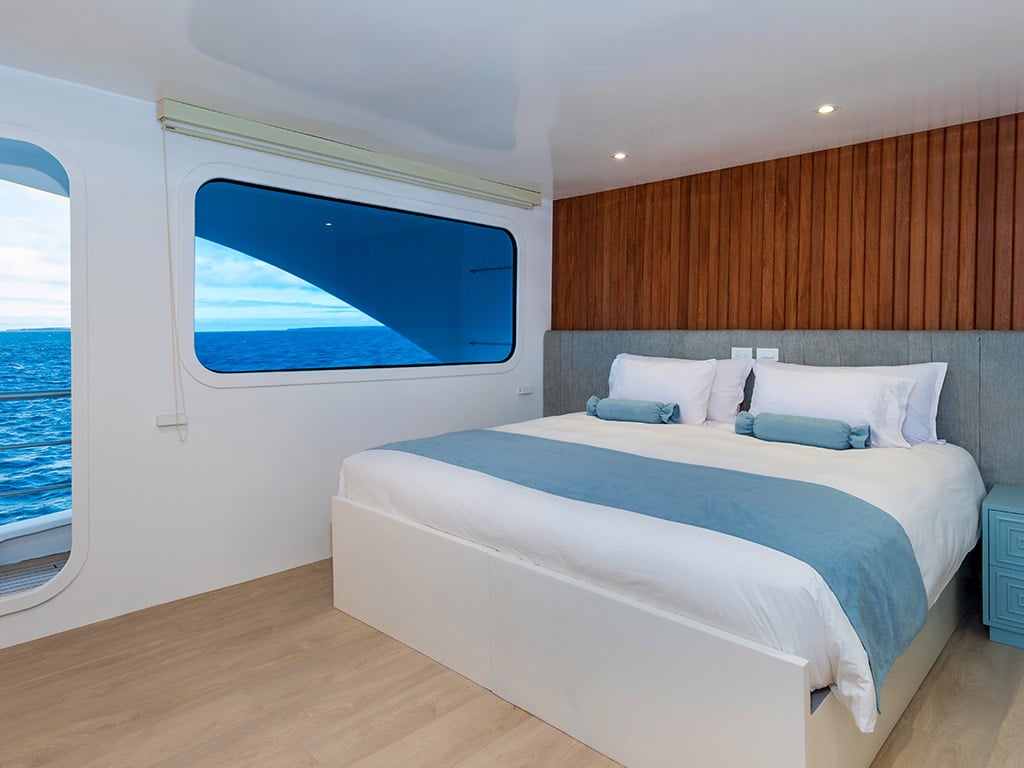 Ocean Spray - Cabin 7 - Catamaran in Santa Cruz