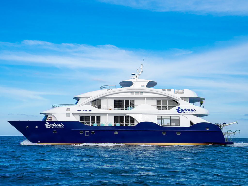 Endemic - Catamaran in Santa Cruz